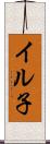 イル子 Scroll