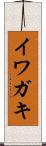 イワガキ Scroll