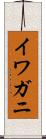 イワガニ Scroll