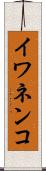 イワネンコ Scroll