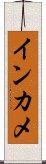 インカメ Scroll