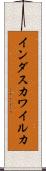 インダスカワイルカ Scroll