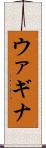 ウァギナ Scroll