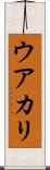 ウアカリ Scroll