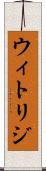ウィトリジ Scroll