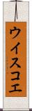 ウイスコエ Scroll