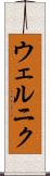 ウェルニク Scroll