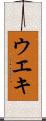 ウエキ Scroll