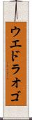 ウエドラオゴ Scroll