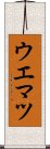 ウエマツ Scroll