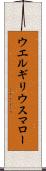 ウエルギリウスマロー Scroll