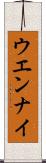 ウエンナイ Scroll