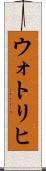 ウォトリヒ Scroll