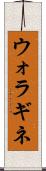 ウォラギネ Scroll