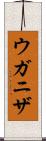 ウガニザ Scroll