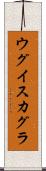 ウグイスカグラ Scroll