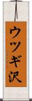 ウツギ沢 Scroll