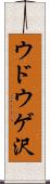 ウドウゲ沢 Scroll