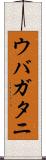 ウバガタニ Scroll
