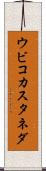 ウビコカスタネダ Scroll