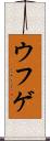 ウフゲ Scroll
