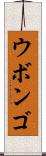 ウボンゴ Scroll