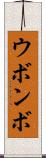 ウボンボ Scroll