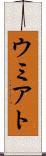 ウミアト Scroll