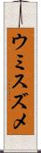 ウミスズメ Scroll