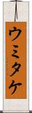 ウミタケ Scroll