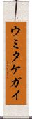 ウミタケガイ Scroll