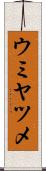ウミヤツメ Scroll