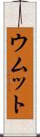 ウムット Scroll