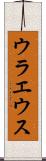 ウラエウス Scroll