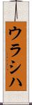ウラシハ Scroll