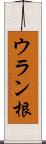 ウラン根 Scroll