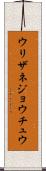 ウリザネジョウチュウ Scroll