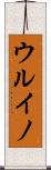ウルイノ Scroll