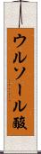 ウルソール酸 Scroll