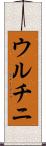 ウルチニ Scroll