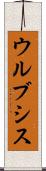 ウルブシス Scroll