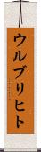 ウルブリヒト Scroll