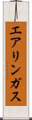 エアリンガス Scroll