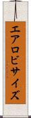 エアロビサイズ Scroll