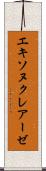 エキソヌクレアーゼ Scroll