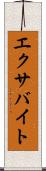 エクサバイト Scroll