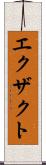 エクザクト Scroll