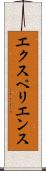 エクスペリエンス Scroll