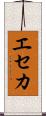 エセカ Scroll