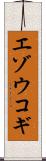 エゾウコギ Scroll